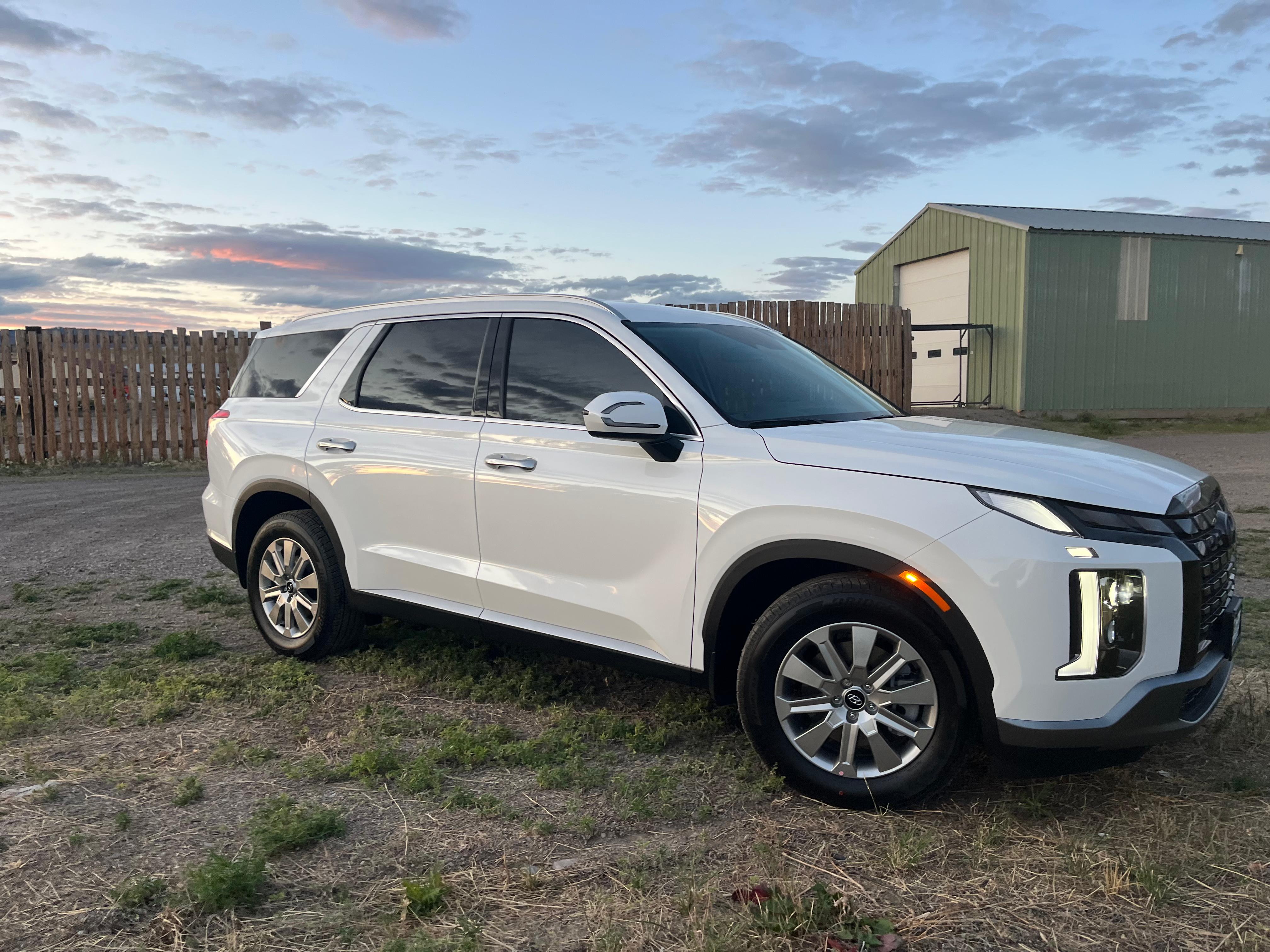 Hyundai Palisade photo 10